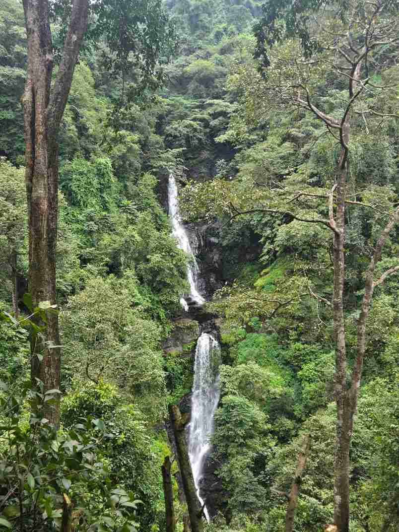 Activity image 2