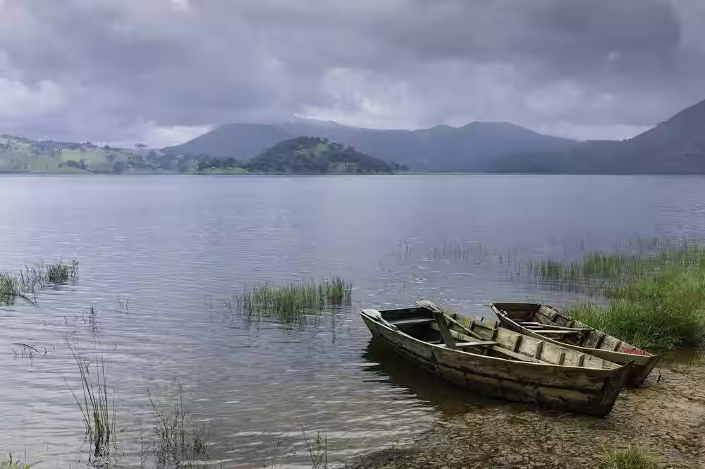 Activity image 1