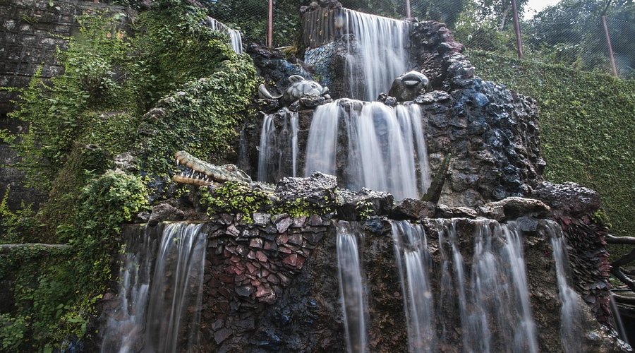 Activity image 9