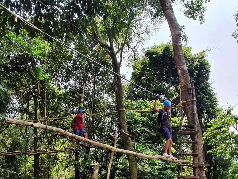 Activity image 2