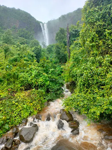 Activity image 1