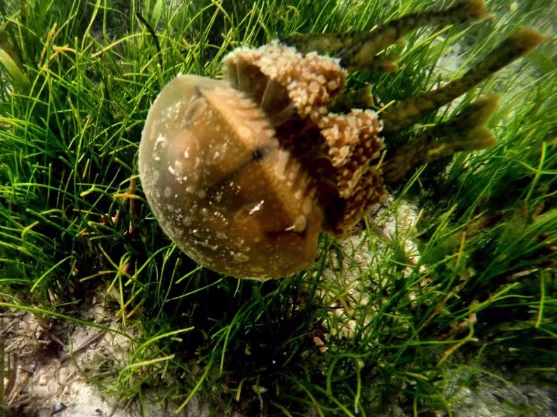 Activity image 2