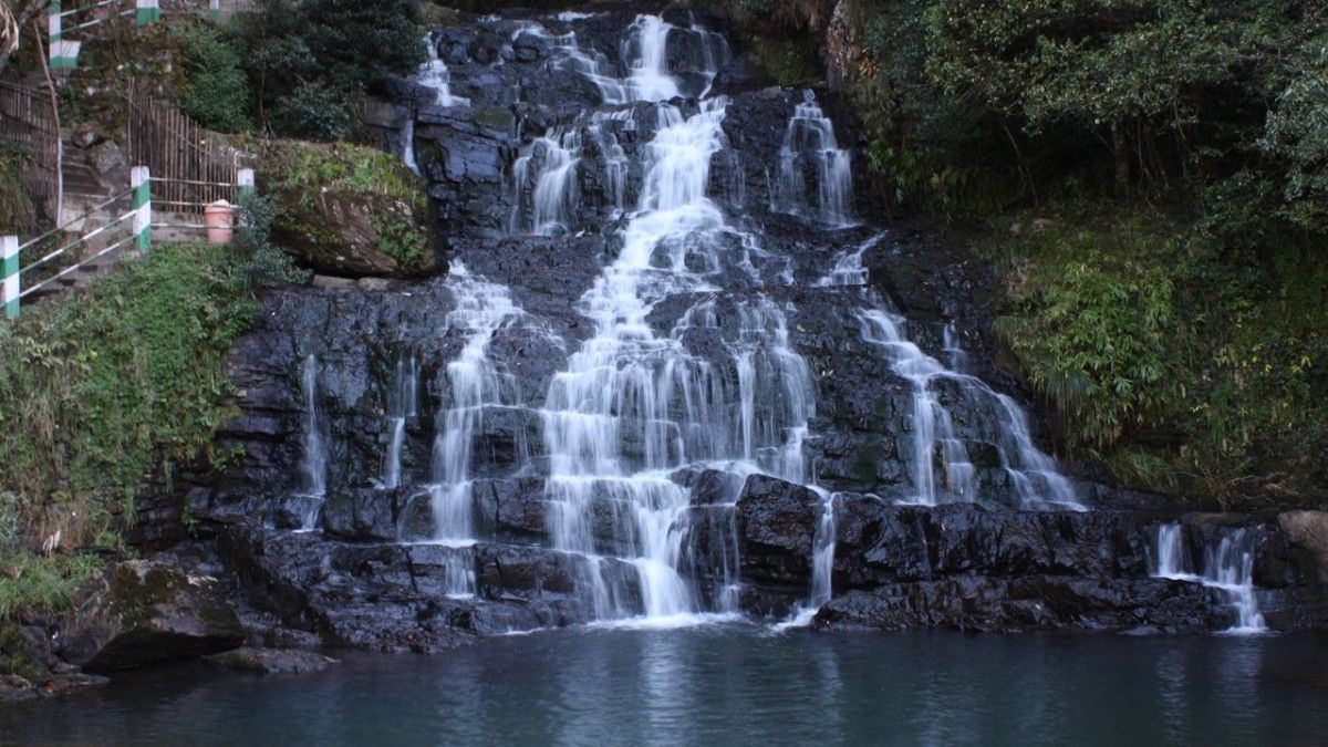 Activity image 7