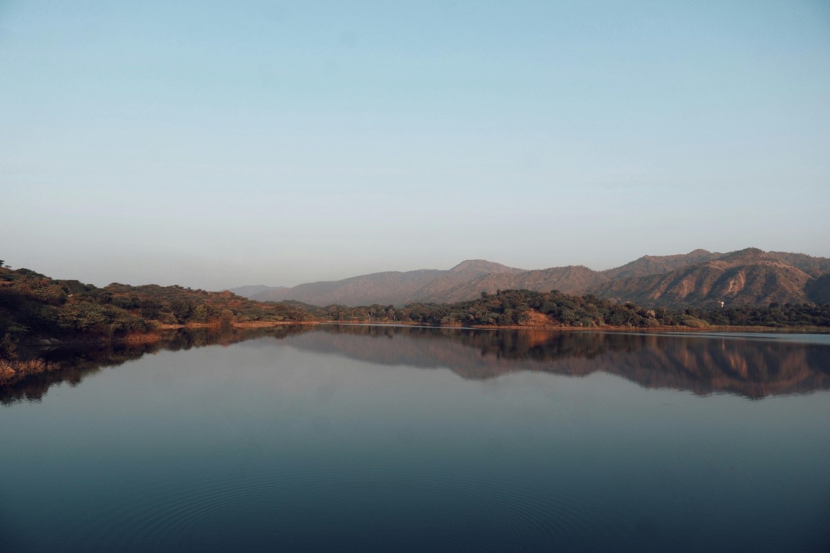 Activity image 8