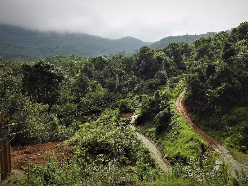 Activity image 1