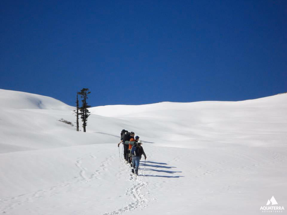 Activity image 2