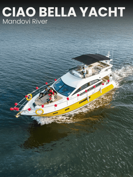 Activity image 1