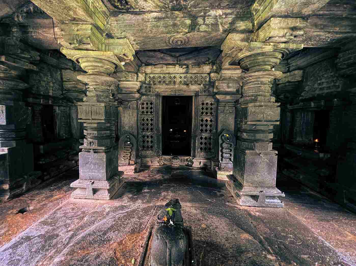 Activity image 8