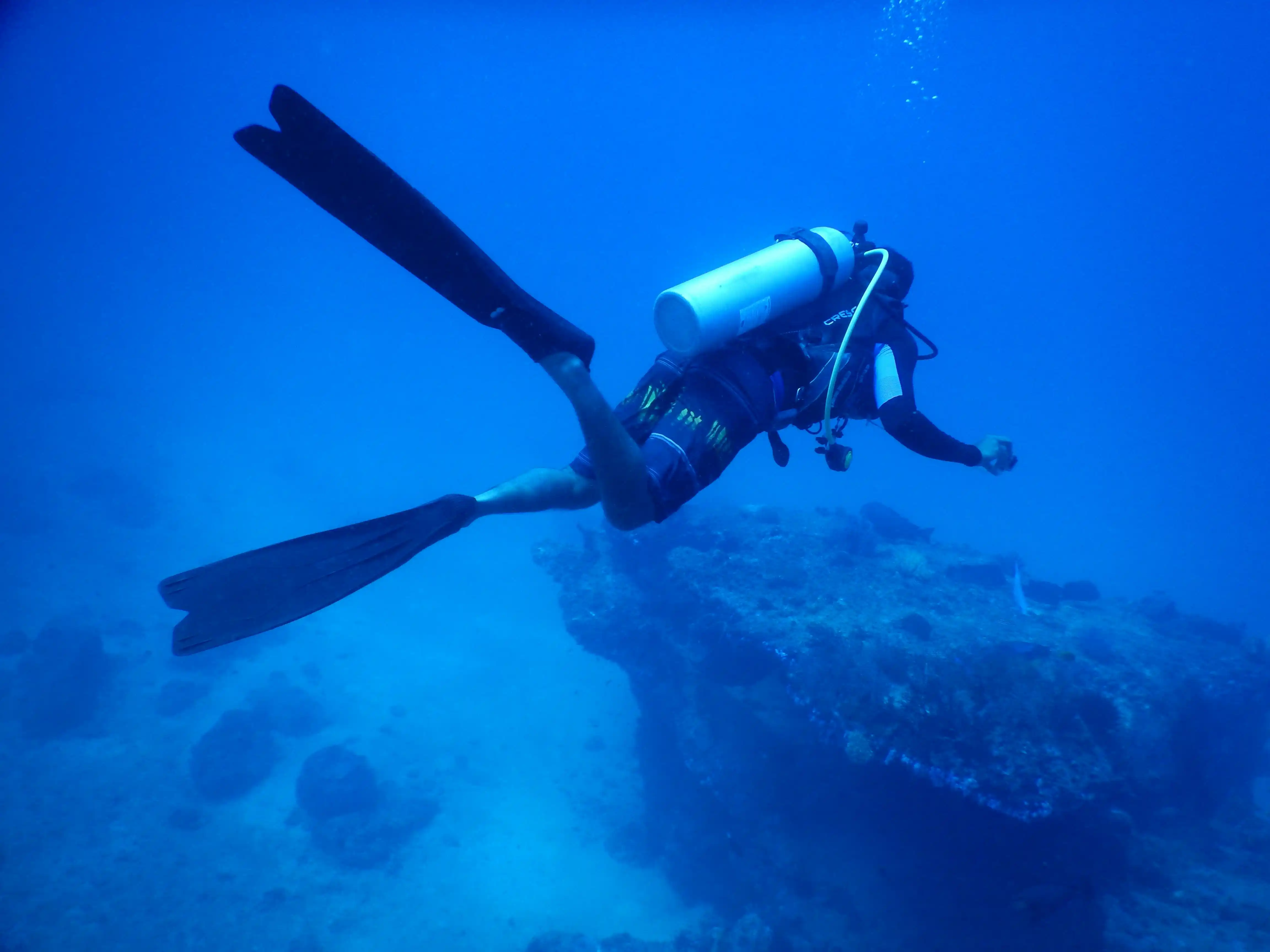 Activity image 1
