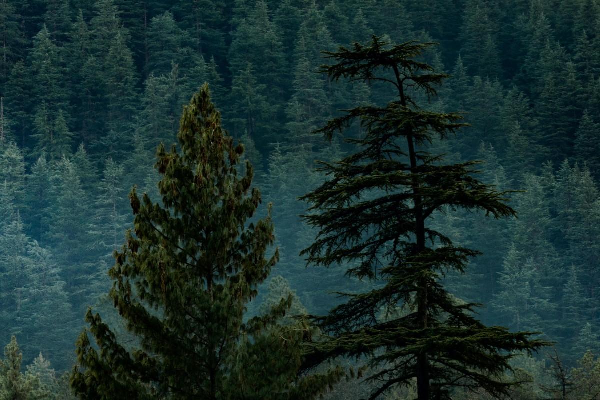 Activity image 1
