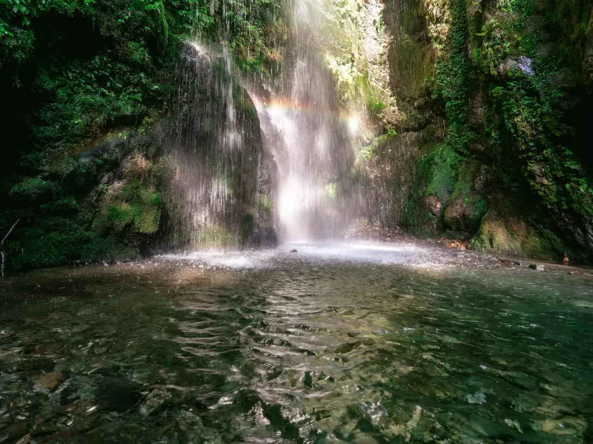 Activity image 6