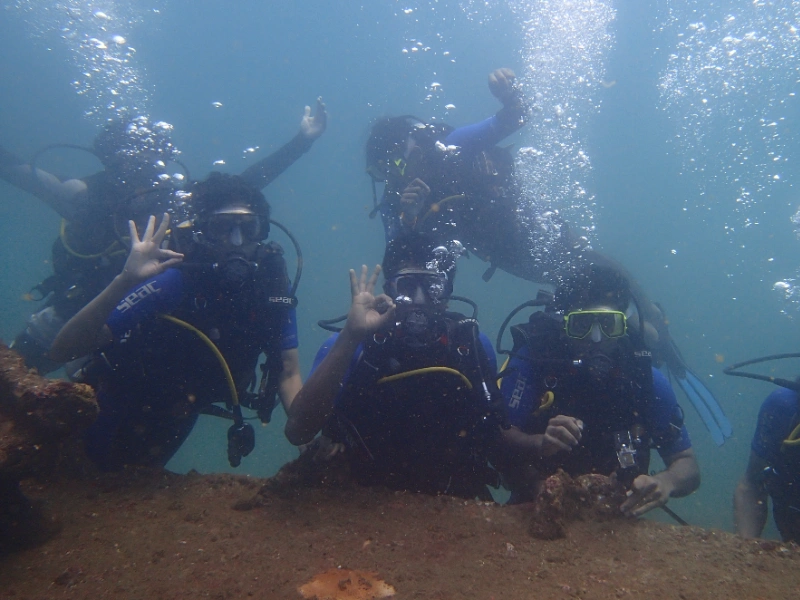 Activity image 3