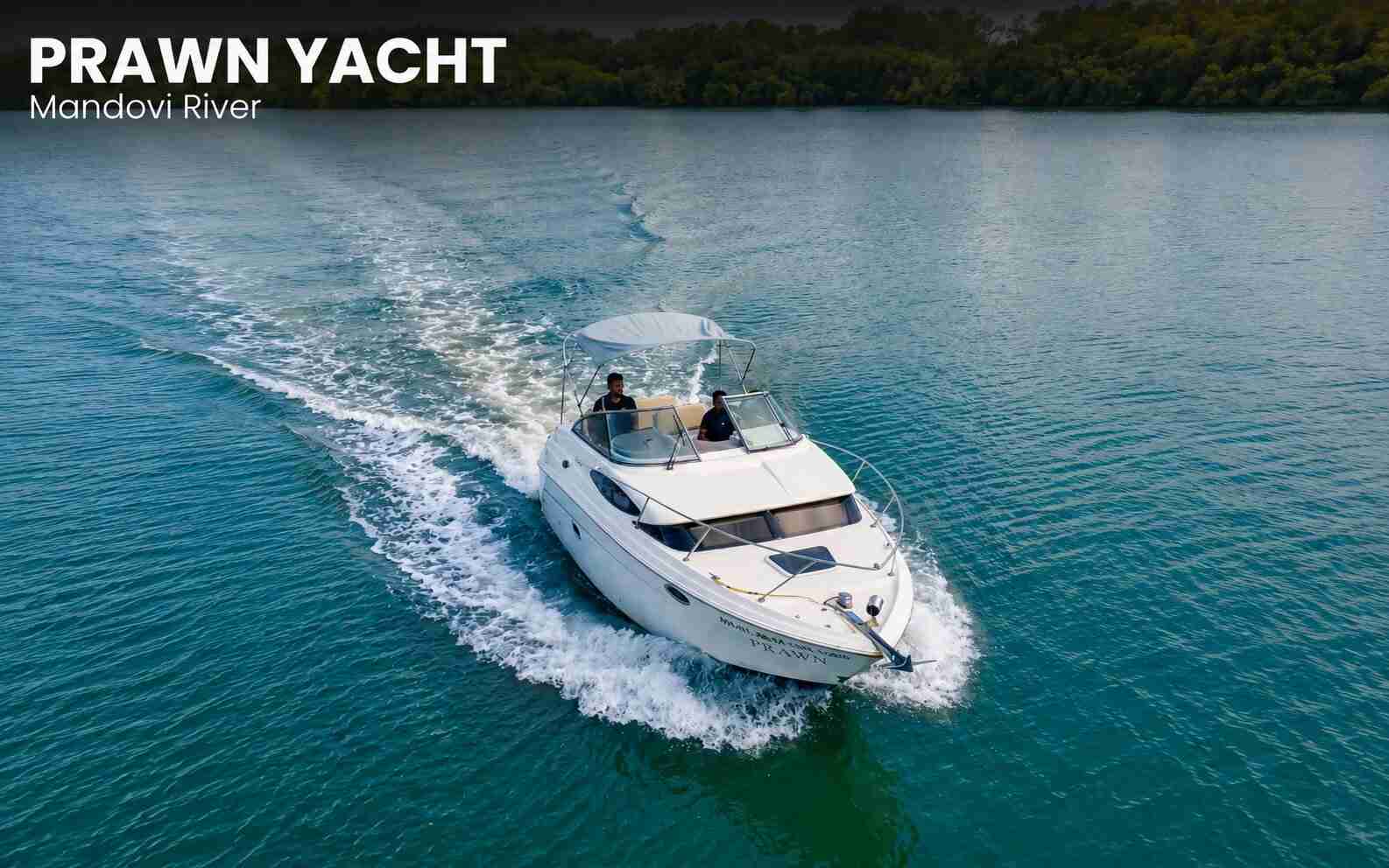 Prawn Yacht Experience in Goa