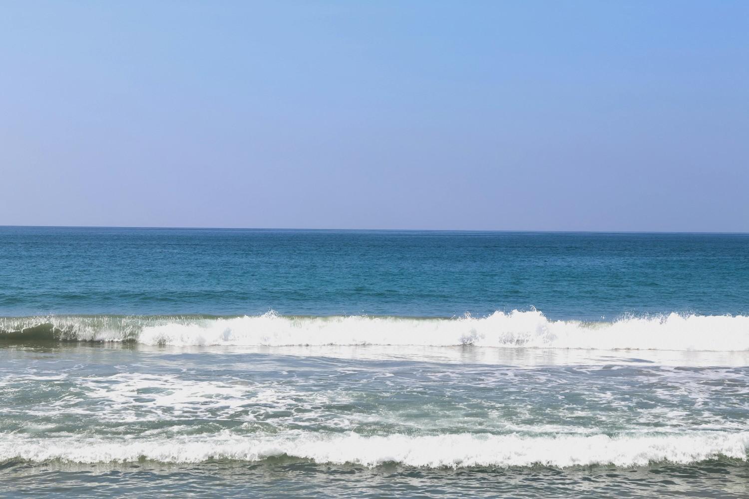 Activity image 1