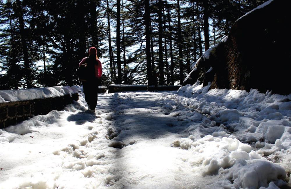 Activity image 7