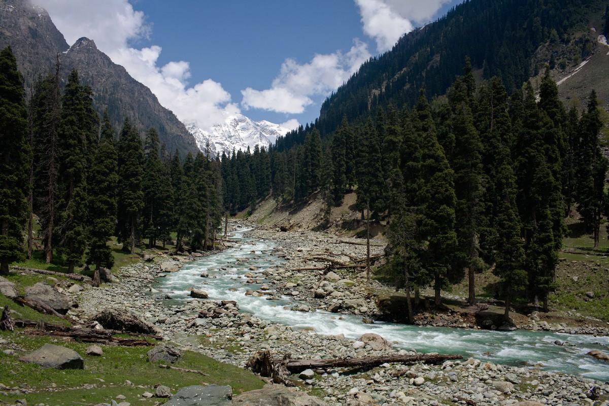 Activity image 6