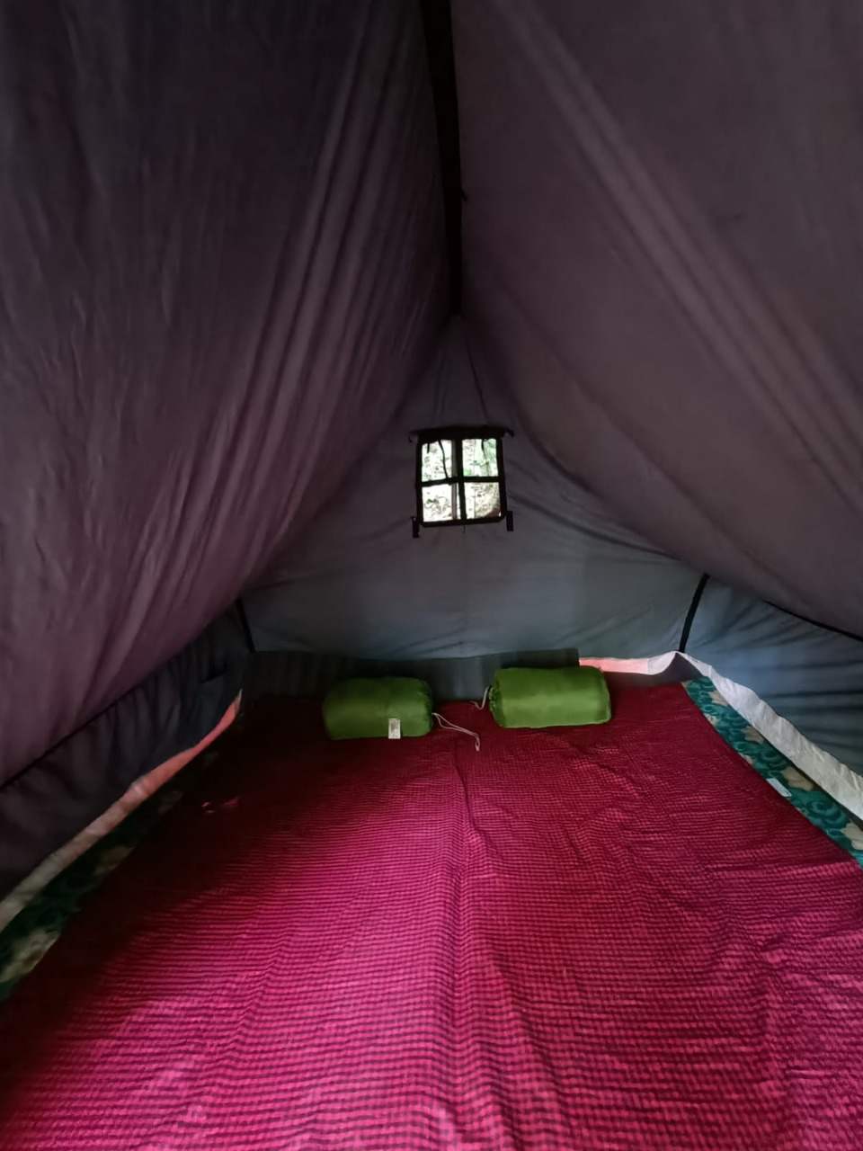 Activity image 11