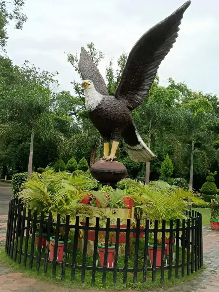 Activity image 4