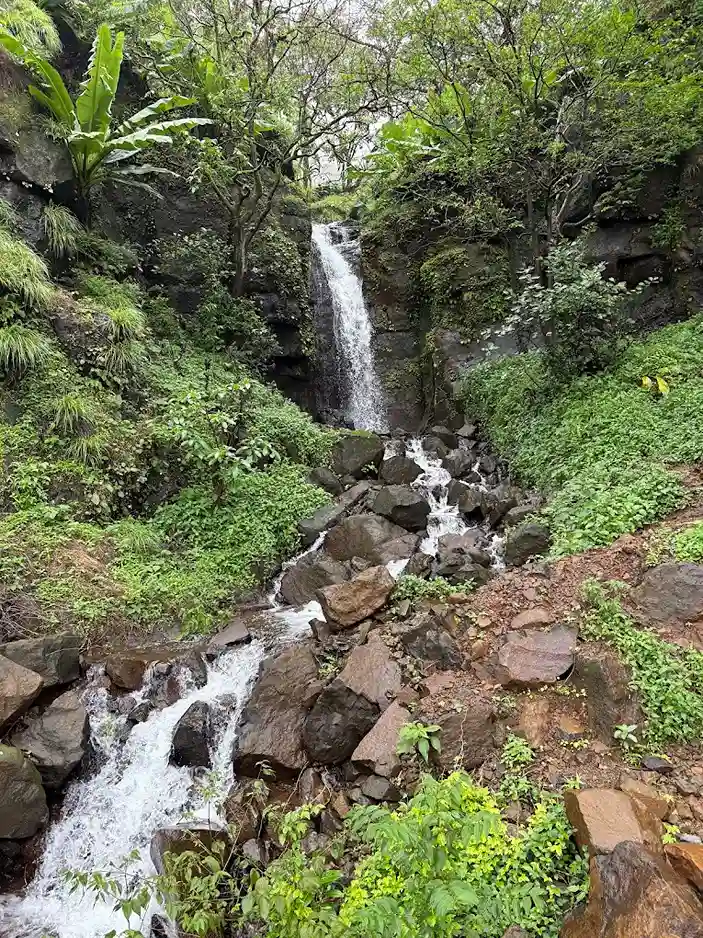 Activity image 1