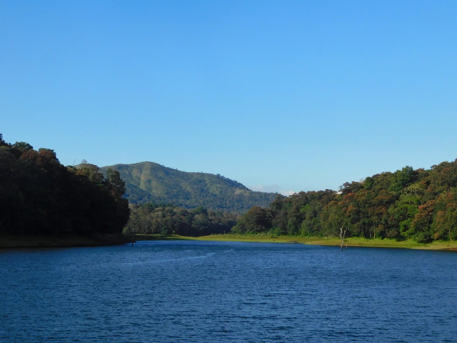 Activity image 1