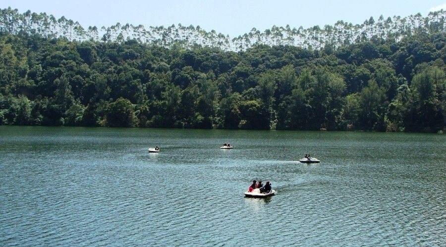Activity image 4