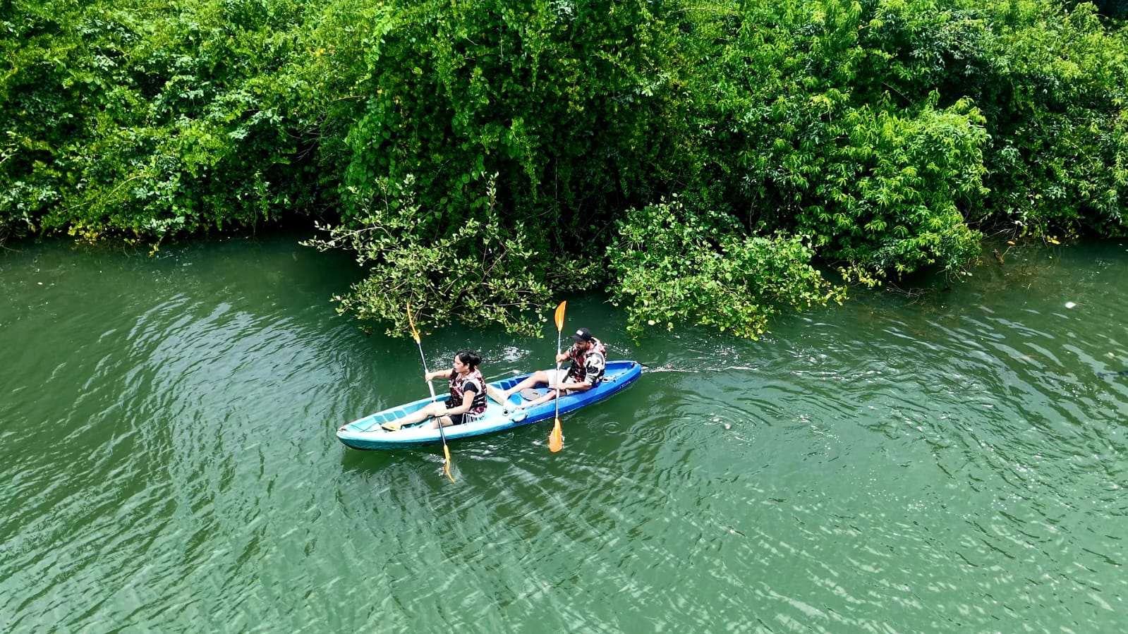 Activity image 12