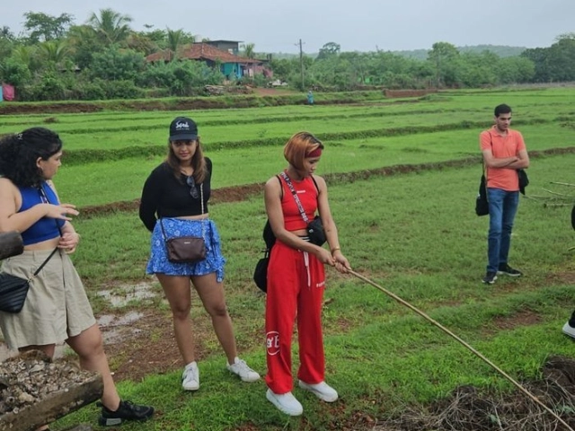 Activity image 2