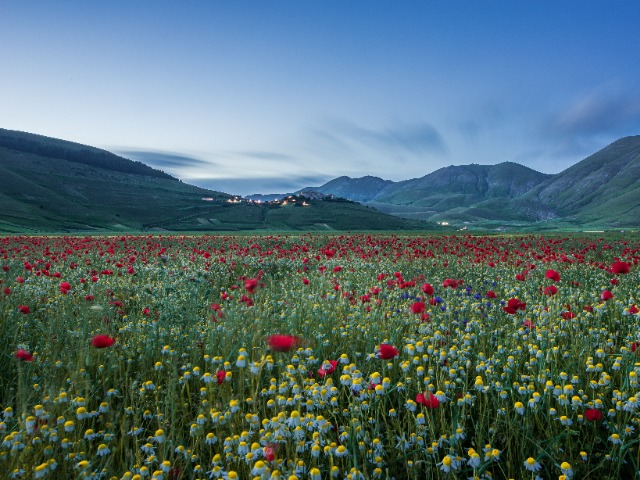 Activity image 1