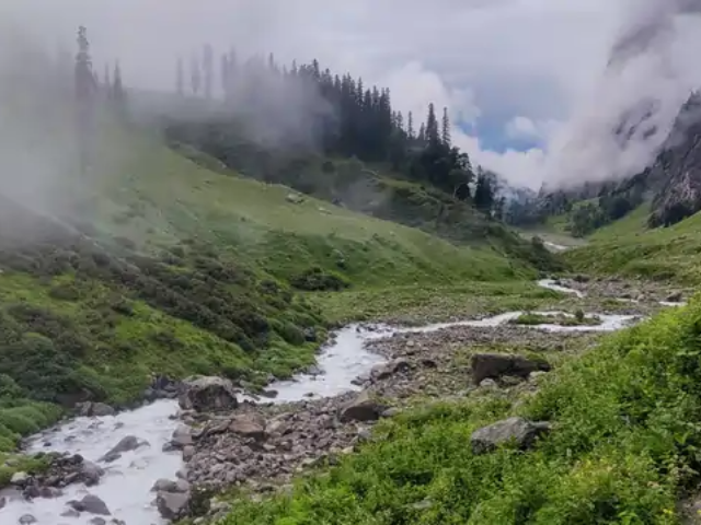Activity image 4