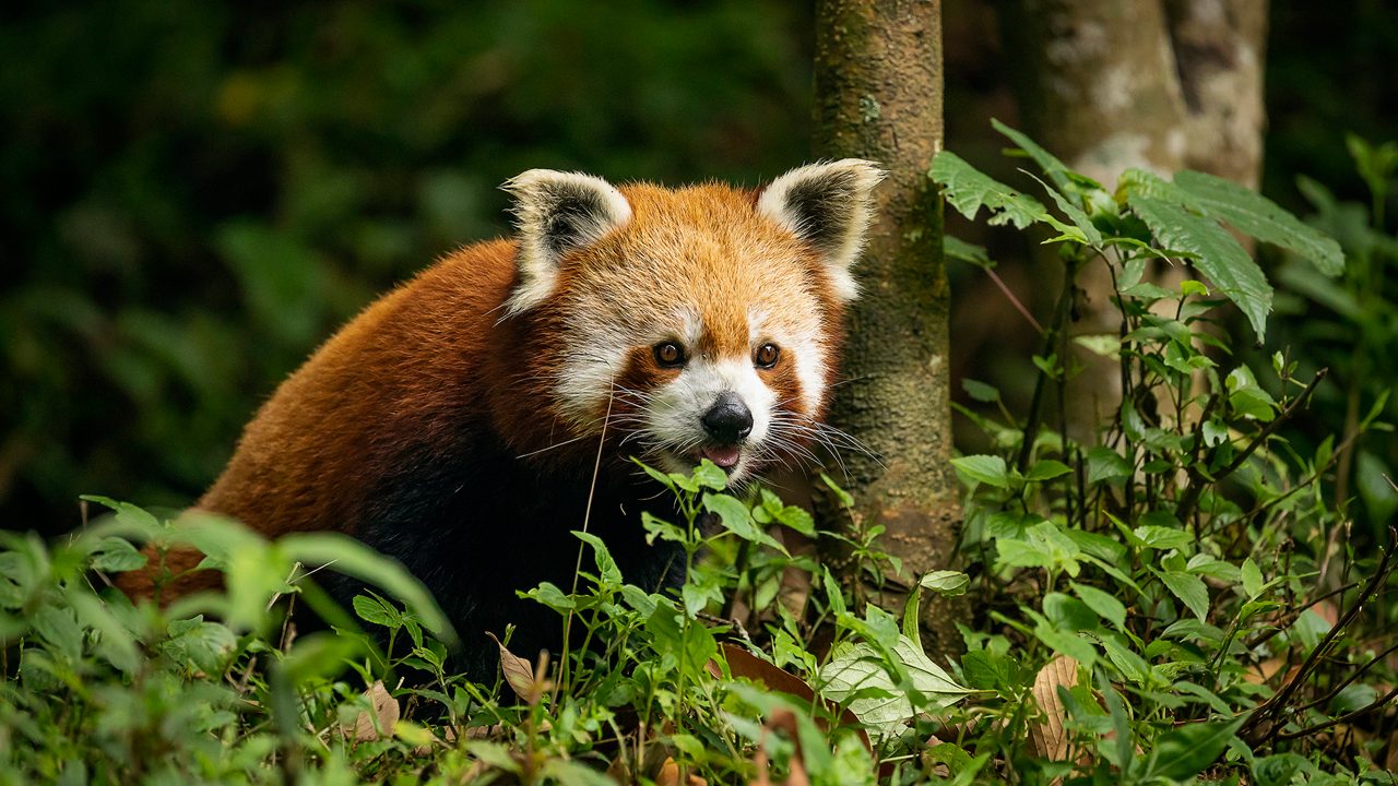 Activity image 9