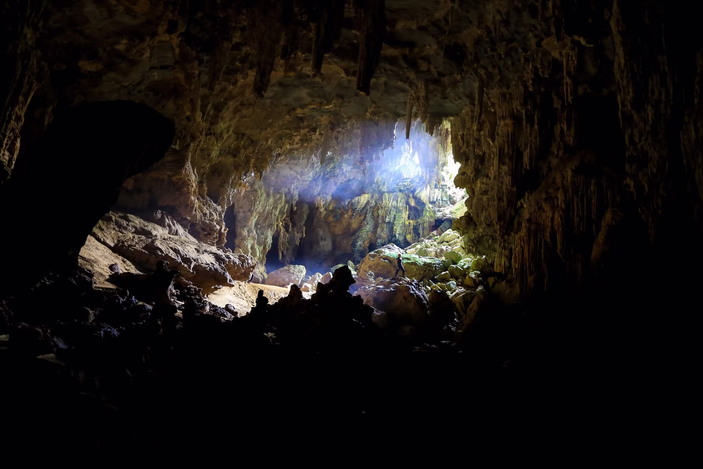 Activity image 1