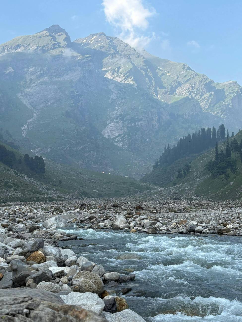 Activity image 1