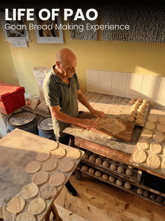 Activity image 1
