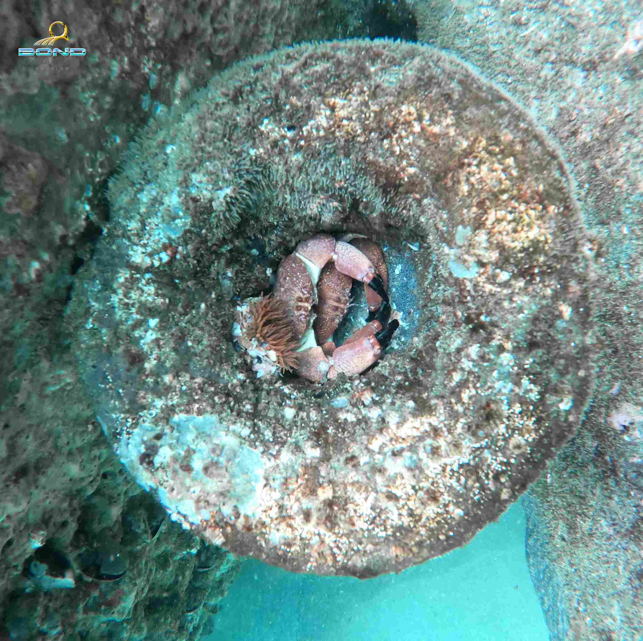 Activity image 5