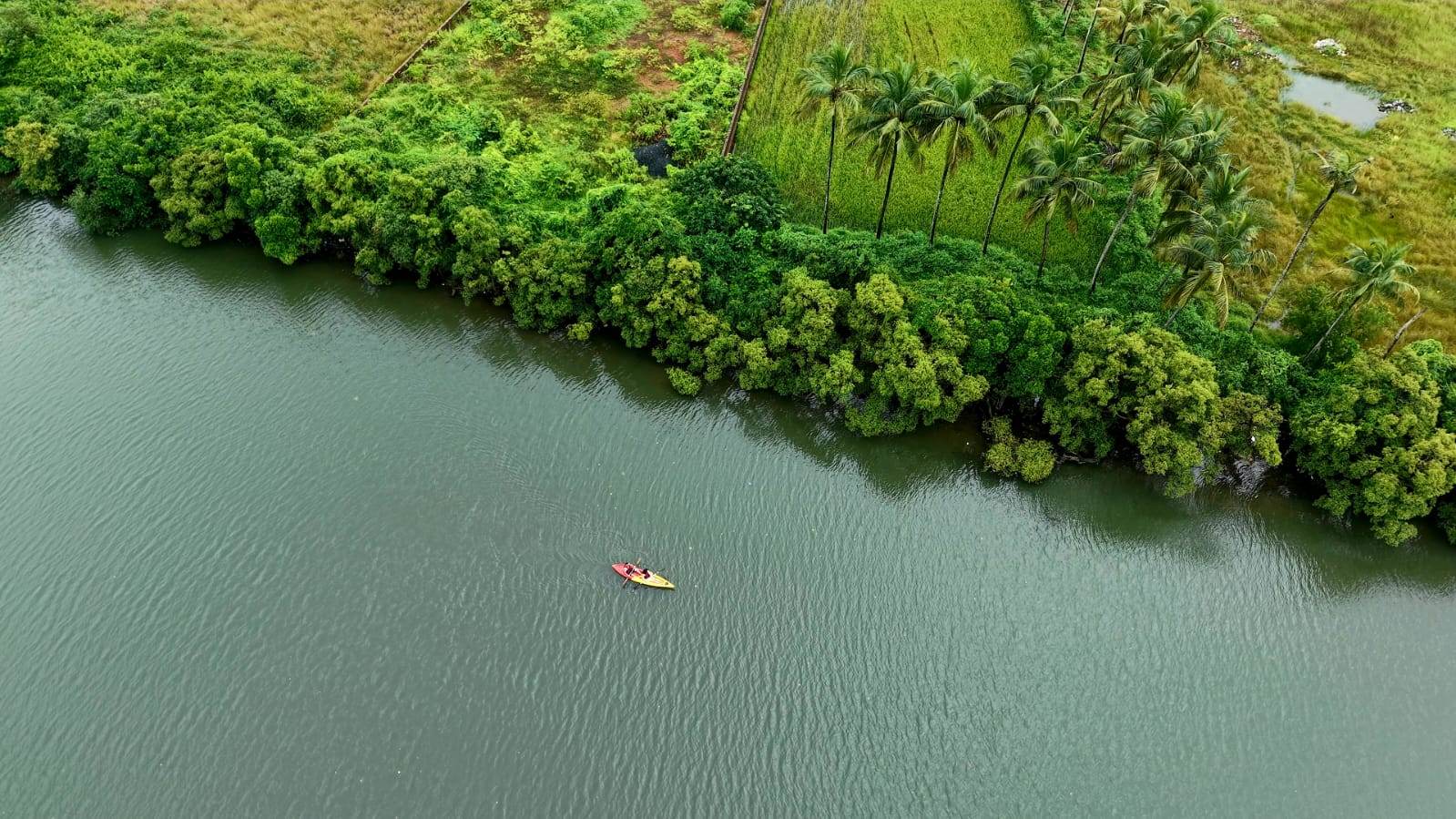 Activity image 10