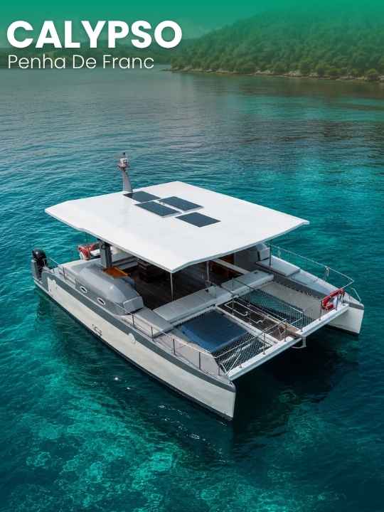 Calypso Catamaran Experience in Goa 