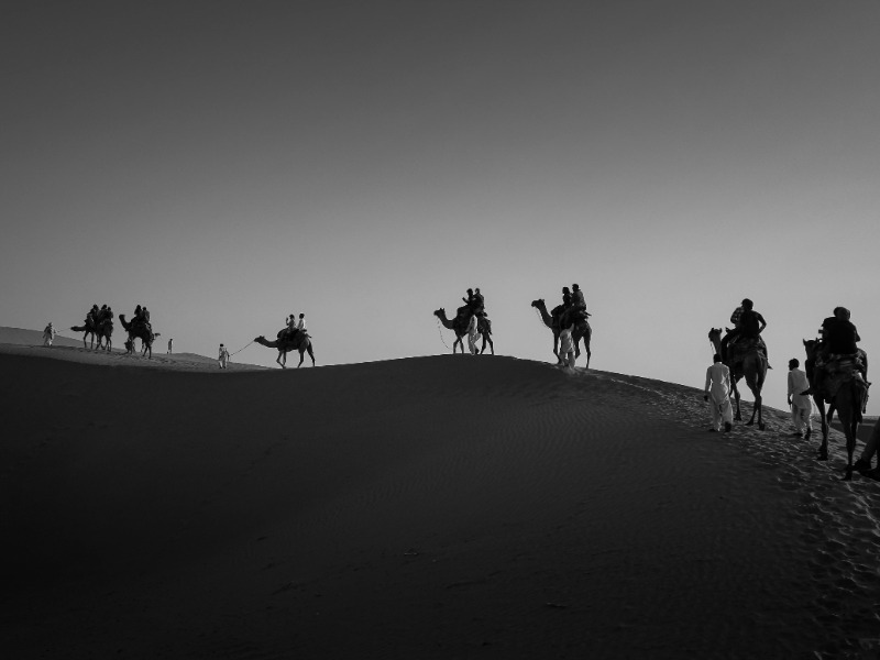 Activity image 4