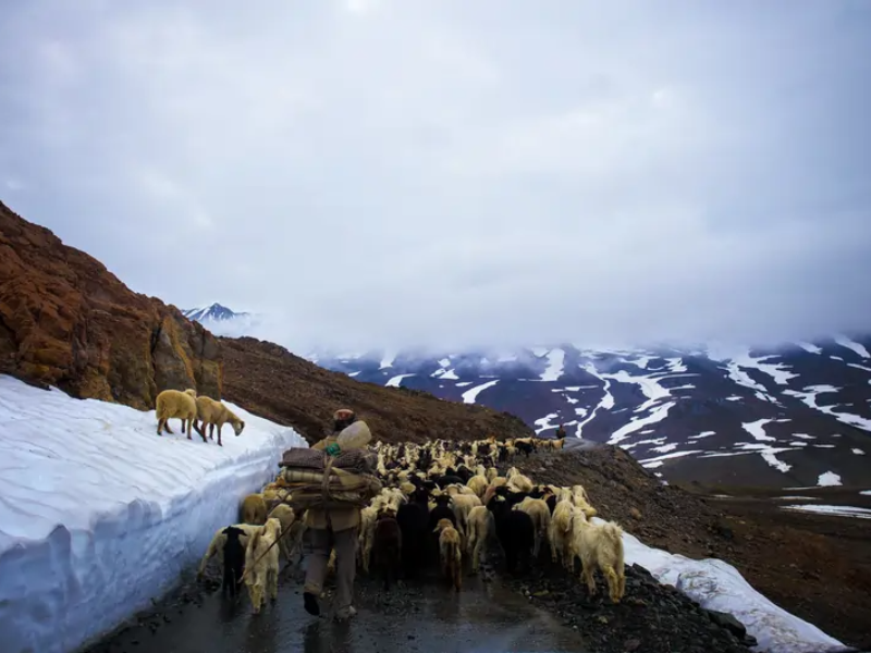 Activity image 1
