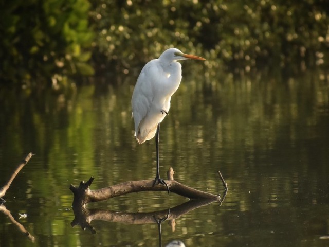 Activity image 6