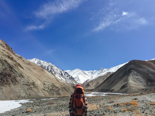 Activity image 2