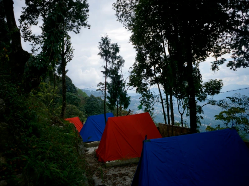 Activity image 1