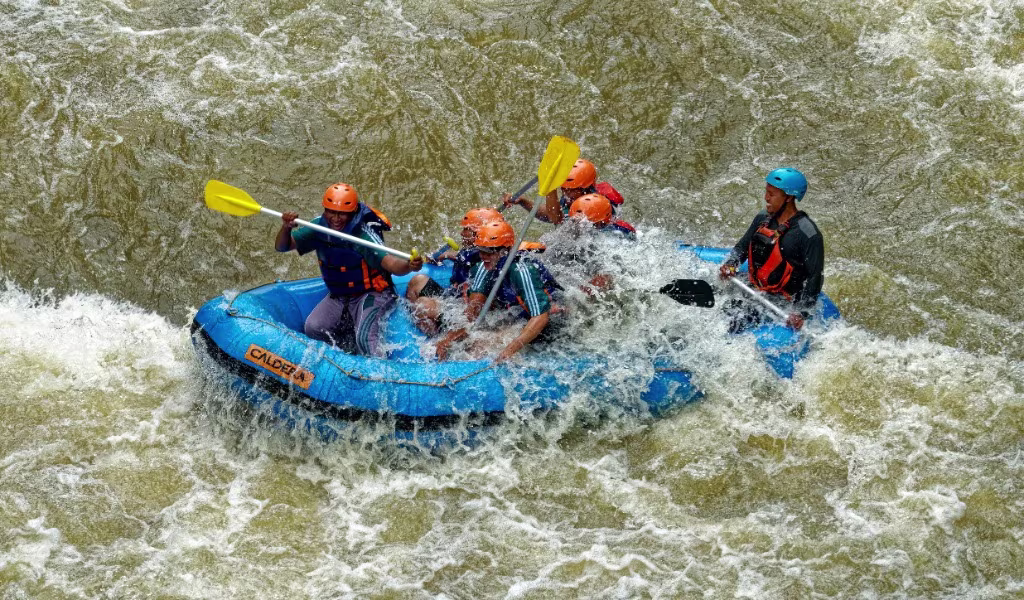 Activity image 4