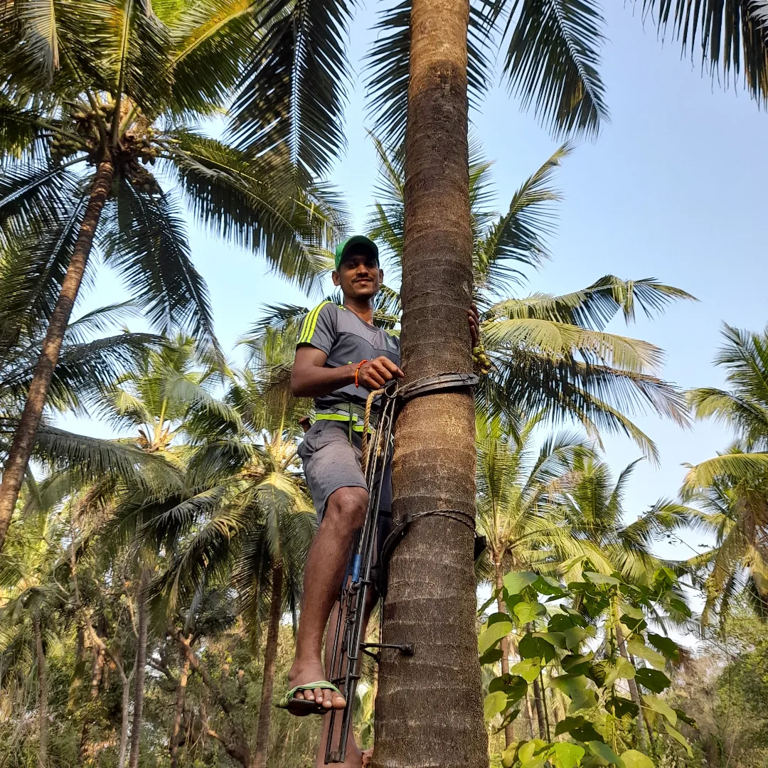Activity image 2