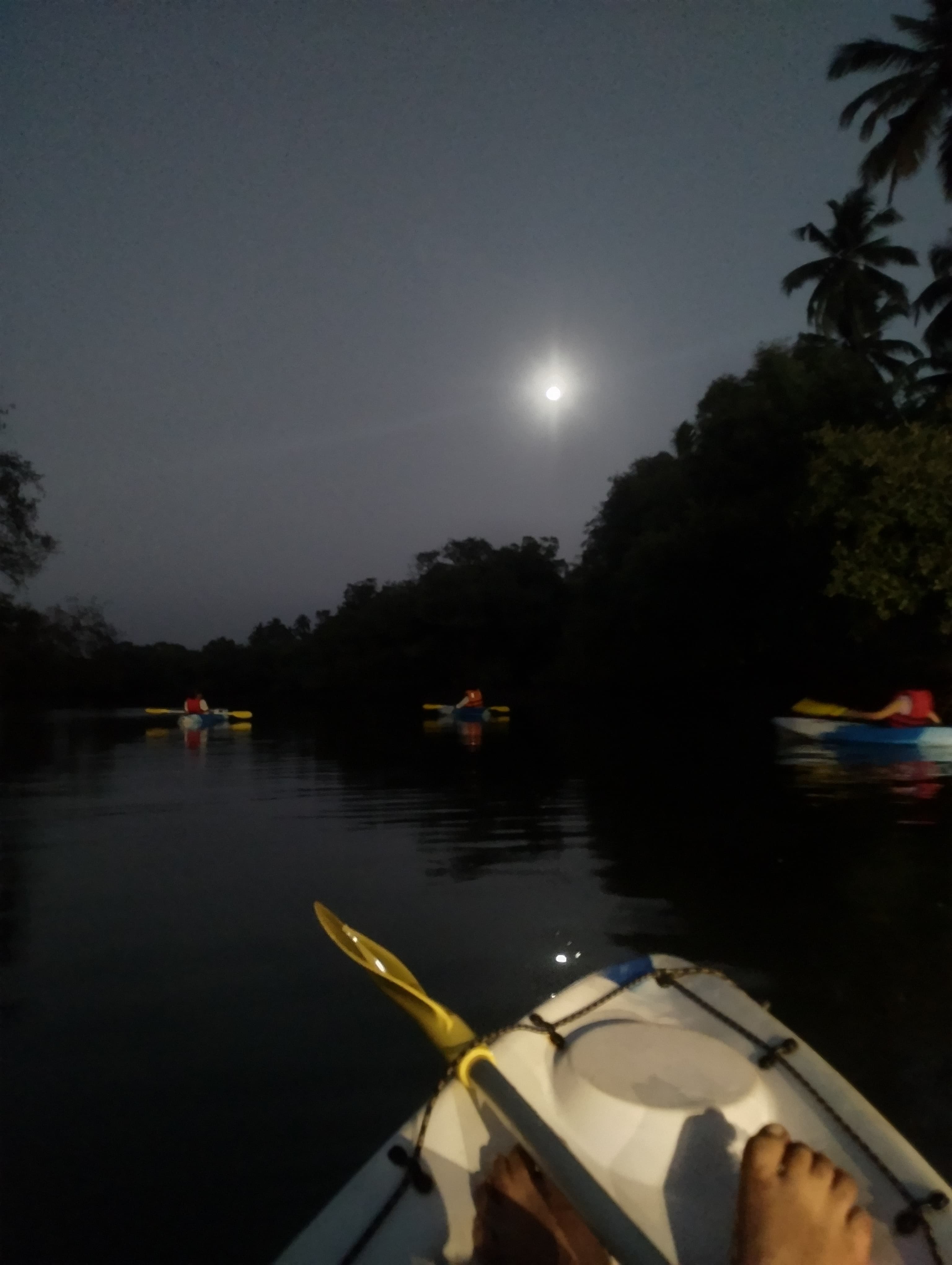 Activity image 2