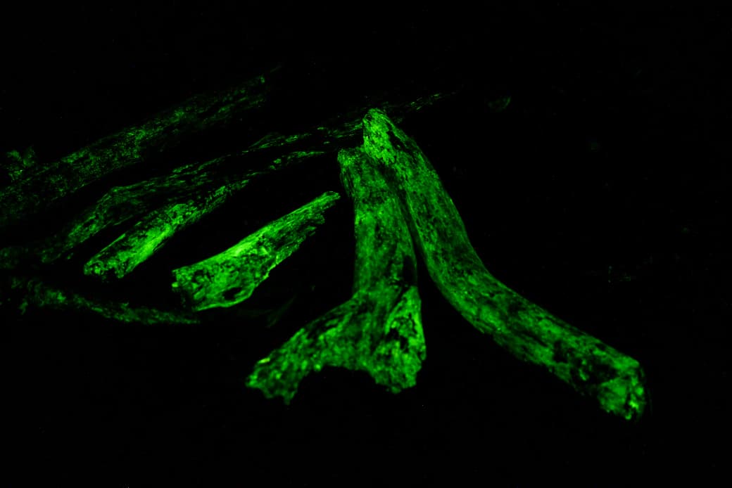 Activity image 2
