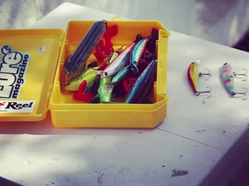 Activity image 4