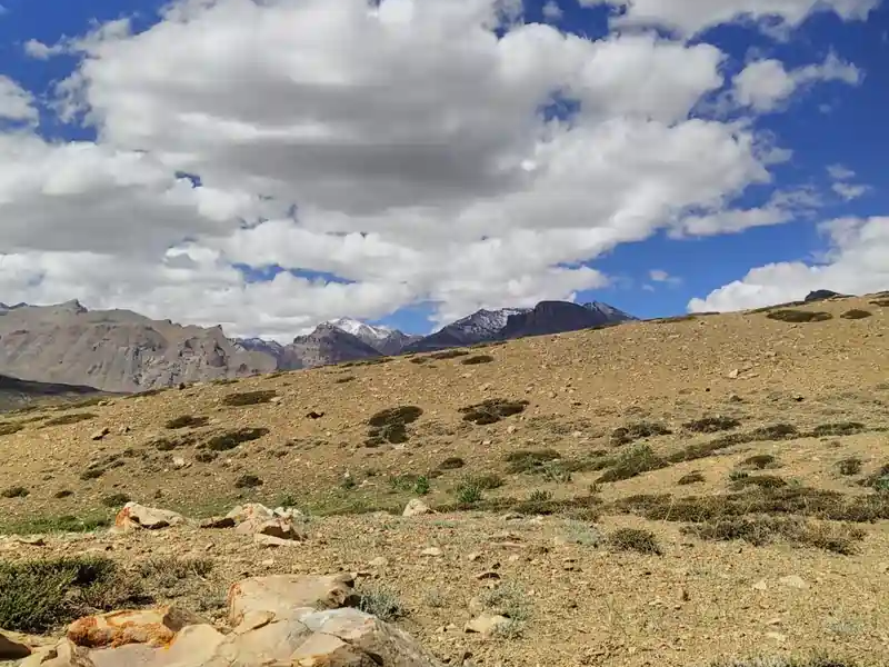 Activity image 5