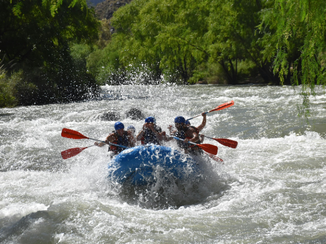 Activity image 2