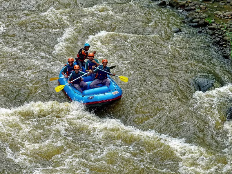 Activity image 3