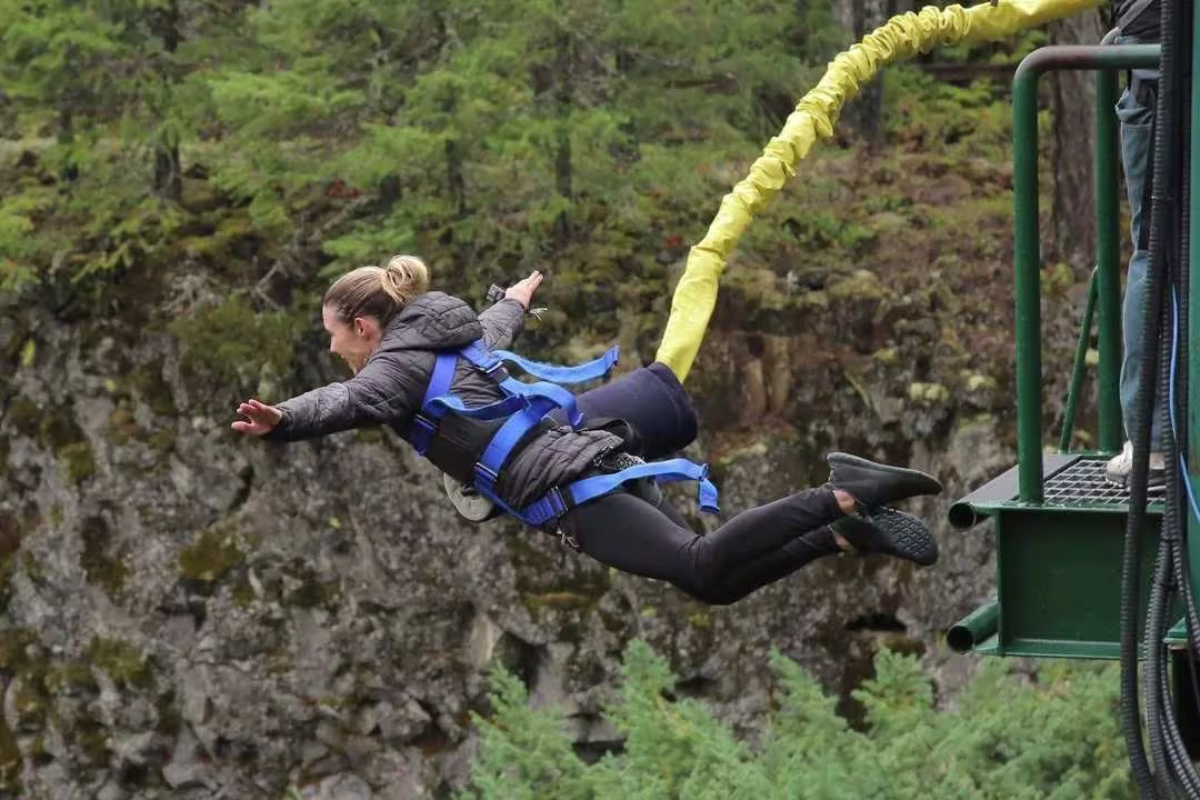 Activity image 1
